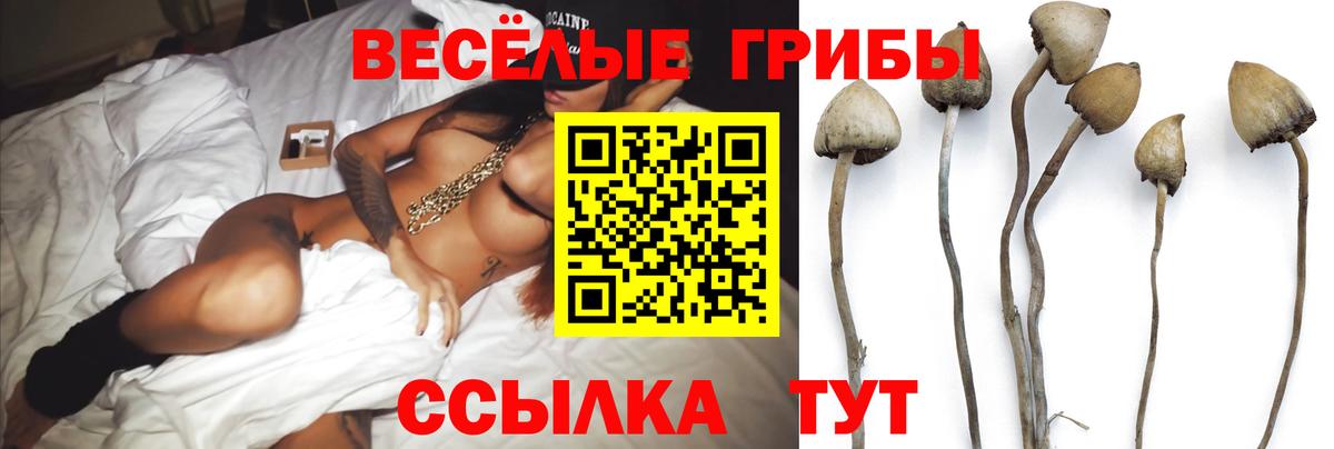 Заводоуковск  Псилоцибиновые грибы Magic Shrooms  Вход с VPN 